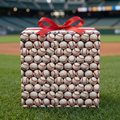 baseball gift wrapped present in the stadium outfield grass