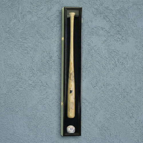 Baseball bat and ball in a display case against a textured blue wall
